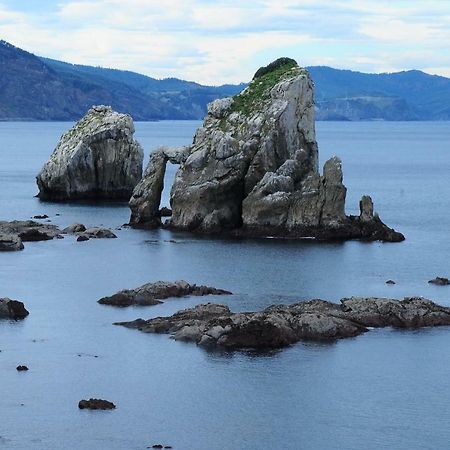 Apartamntos Urdaibai 3 Bermeo Luaran gambar